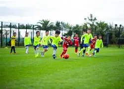 郑中基公布,离婚手续进,行中,千亿体育官网,千亿体育平台,千亿体育链接,千亿体育官方