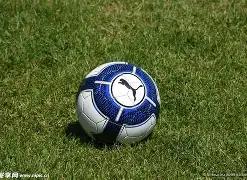 宿松古县,振翅腾飞,千年风采绽,千亿体育官网,千亿体育平台,千亿体育链接,千亿体育官方