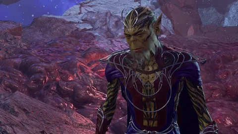 67歲毅行者勇闖麥徑：泥濘崎嶇路途艱難，放棄只需一剪帶子