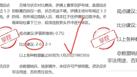 沃克声明：目击情况不足，裁判判定特奥动作系假摔